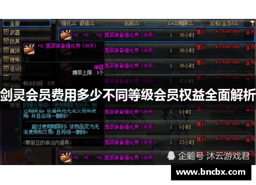 剑灵会员费用多少不同等级会员权益全面解析