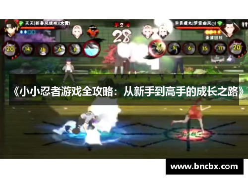 《小小忍者游戏全攻略：从新手到高手的成长之路》